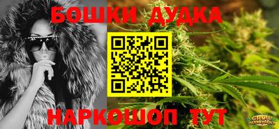 прущие крисы Донской