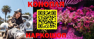 прущие крисы Донской